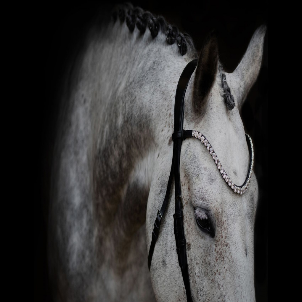 Do horses need magnesium supplements?