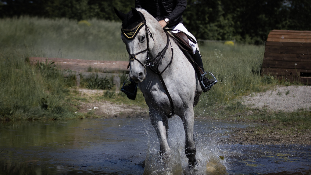Why Do Horses Need Electrolyte Supplements?