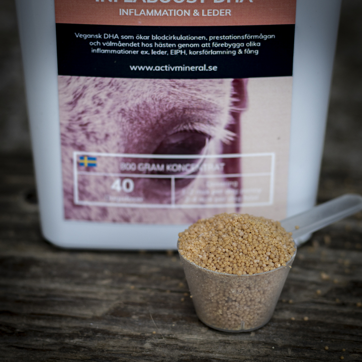 Inflaboost DHA Sample in the group HORSE / Feedsupplements / Sample at Minerals by Nordic (DHA-PROV)