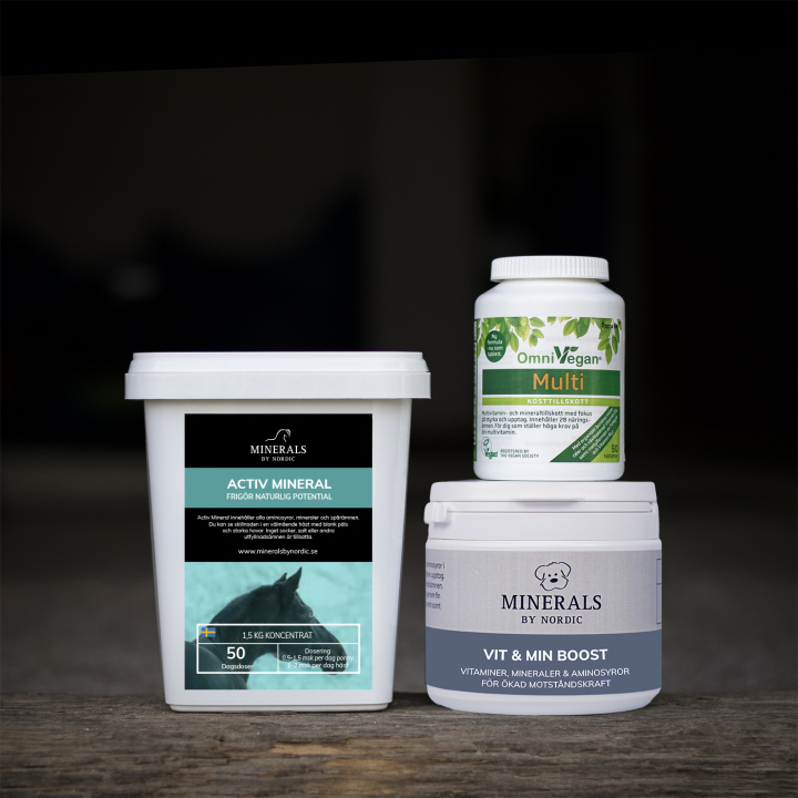 Mineral Boost - Horse - Dog - Rider in the group HORSE / Feedsupplements / Package solutions at Minerals by Nordic (HHR-001)