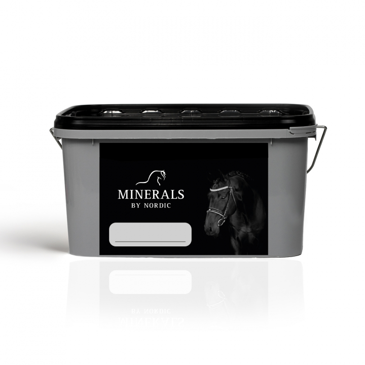 Refill Bucket with lid in the group HORSE / Horse care / Stable Accessories at Minerals by Nordic (REFILL-HINK-LOCK)