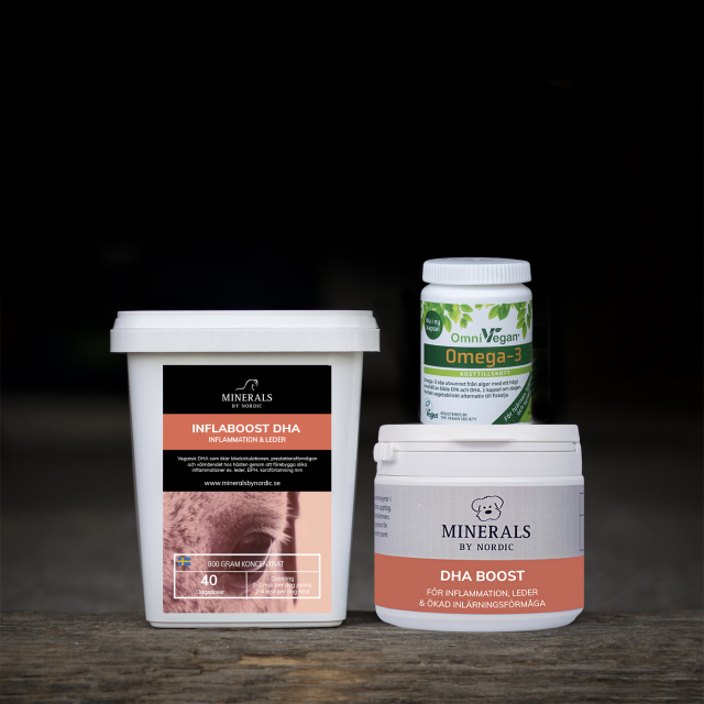 Anti-inflammatory supplements for horses | Minerals by