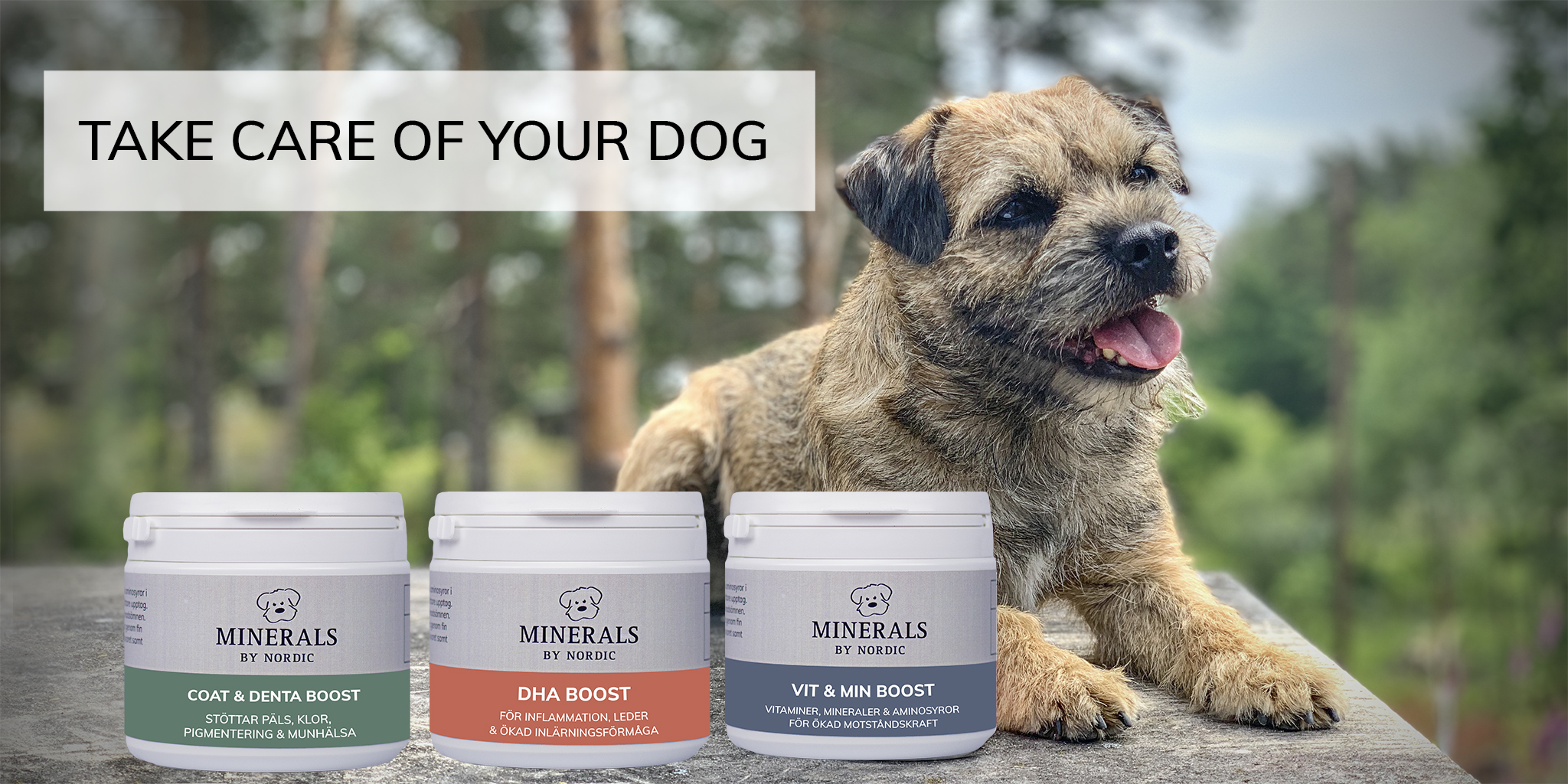 Vitamins & Minerals for dogs