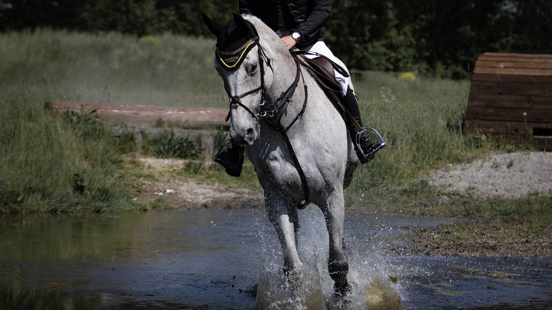 why-do-horses-need-electrolyte-supplements