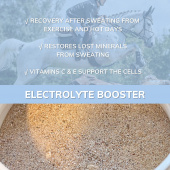 Elektrolyt Booster 1.5 kg