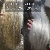 Before & After Intense Silver Shampoo
